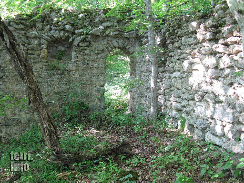 Birtvisi-Ruins of a palace
