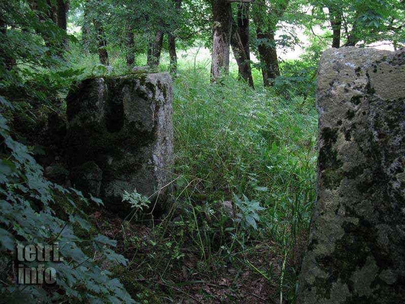 Lipi-Stone fragments