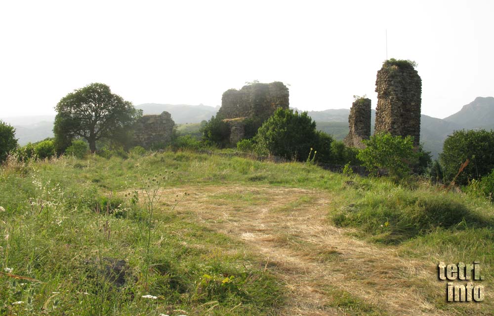 Partskhisi Fortress. General view