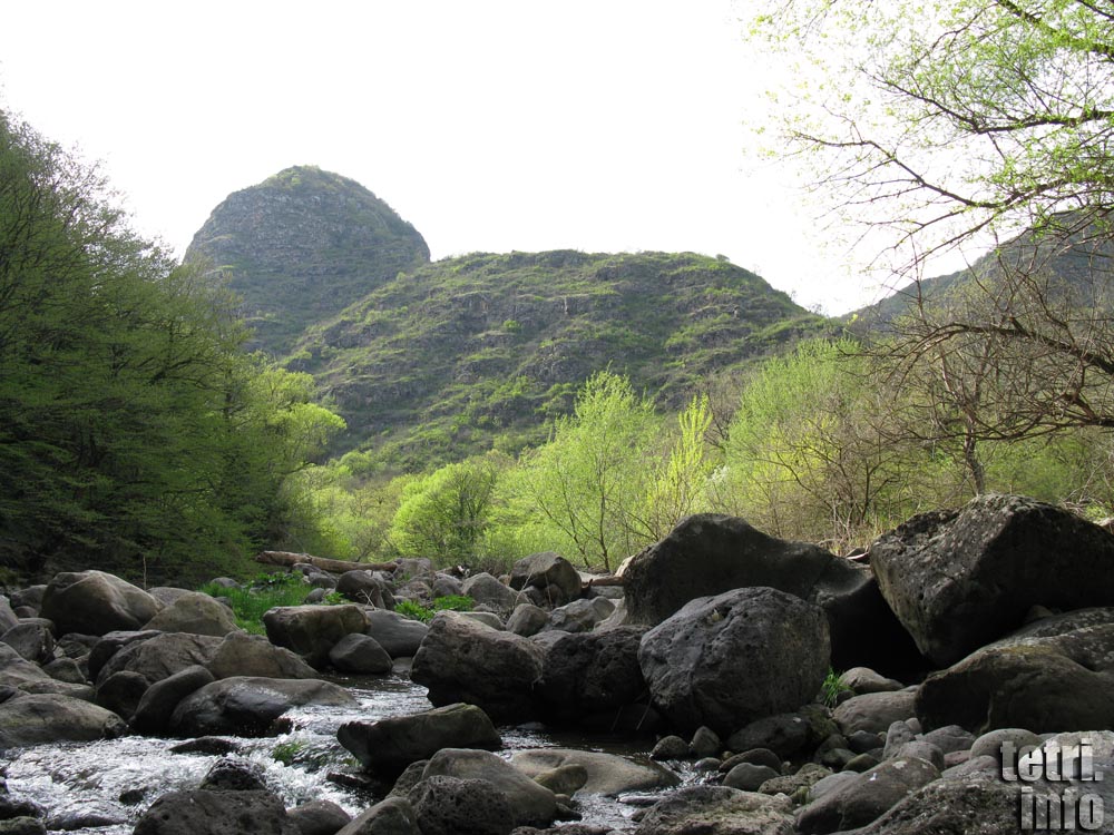 The place where the river Chivchavi near Tetri Tskaro flows into the river Khrami